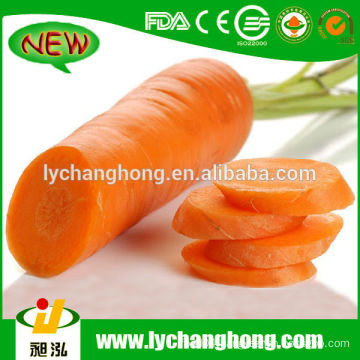 Fresh Carrot Market Price/China Fresh Carrot